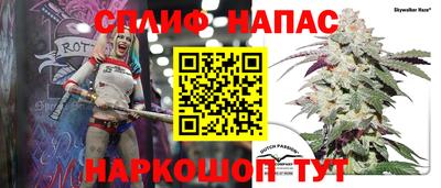 шишки Берёзовский