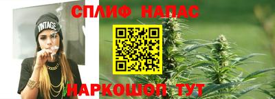шишки Берёзовский