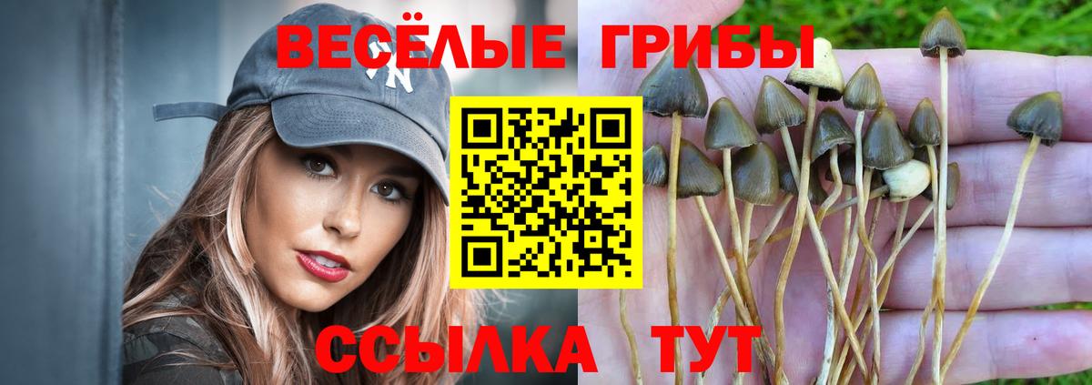 Псилоцибиновые грибы мухоморы  Вход с VPN  Кашира 