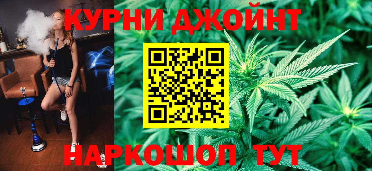 Каннабис OG Kush Кашира